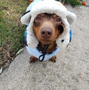 Meet your Posher, Janet